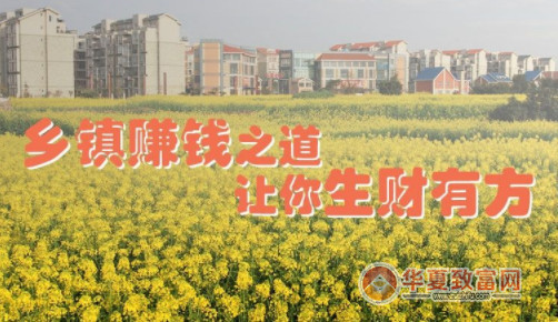 现在乡镇做什么生意赚钱